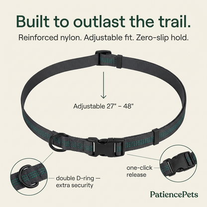 PatiencePets Hands Free Dog Leash with Zipper Pouch