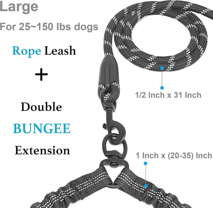Dual Dog Leash - 360° Swivel, No Tangle Walking Leash with Shock Absorbing Bungee for Two Dogs